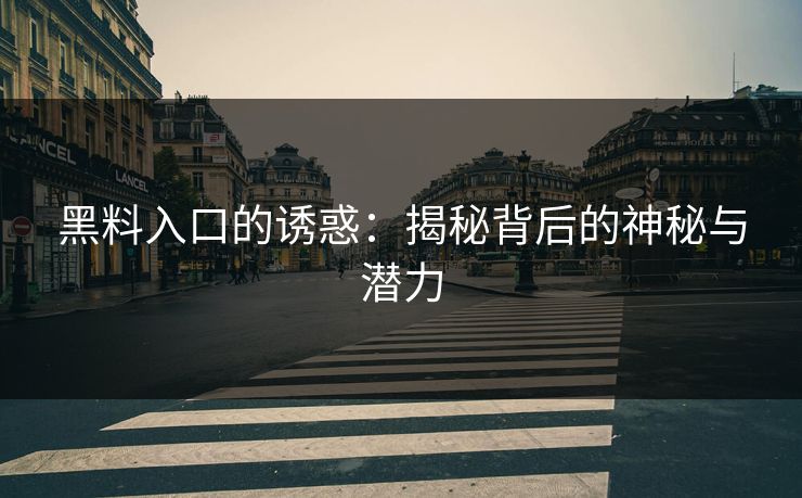 黑料入口的诱惑：揭秘背后的神秘与潜力