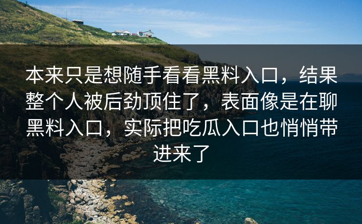 本来只是想随手看看黑料入口，结果整个人被后劲顶住了，表面像是在聊黑料入口，实际把吃瓜入口也悄悄带进来了